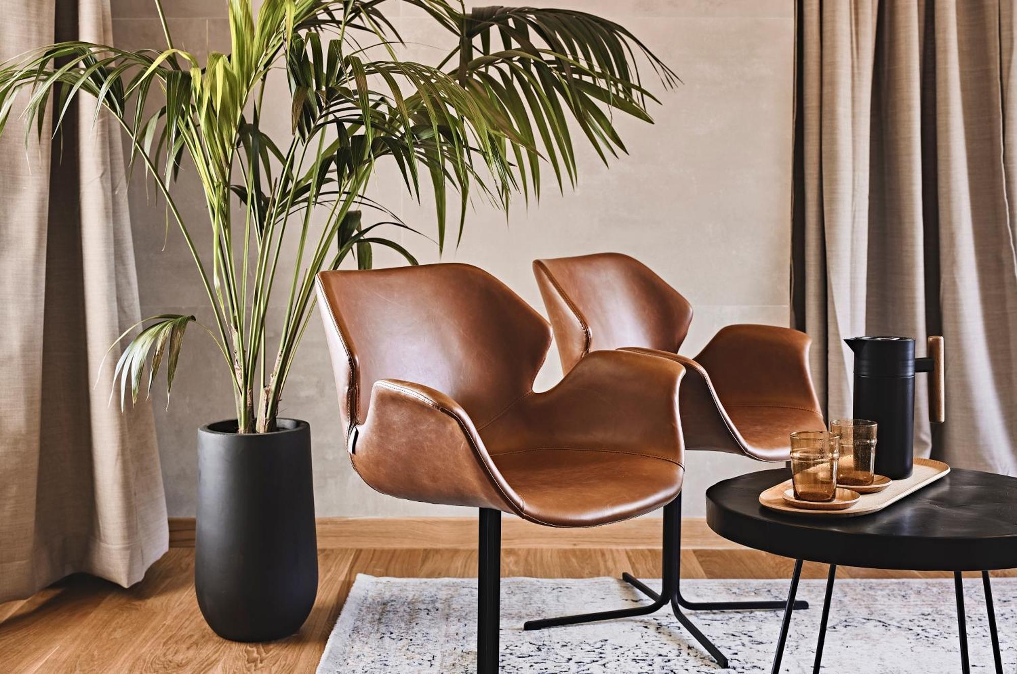 Cama Luxury Suites Athen Værelse billede